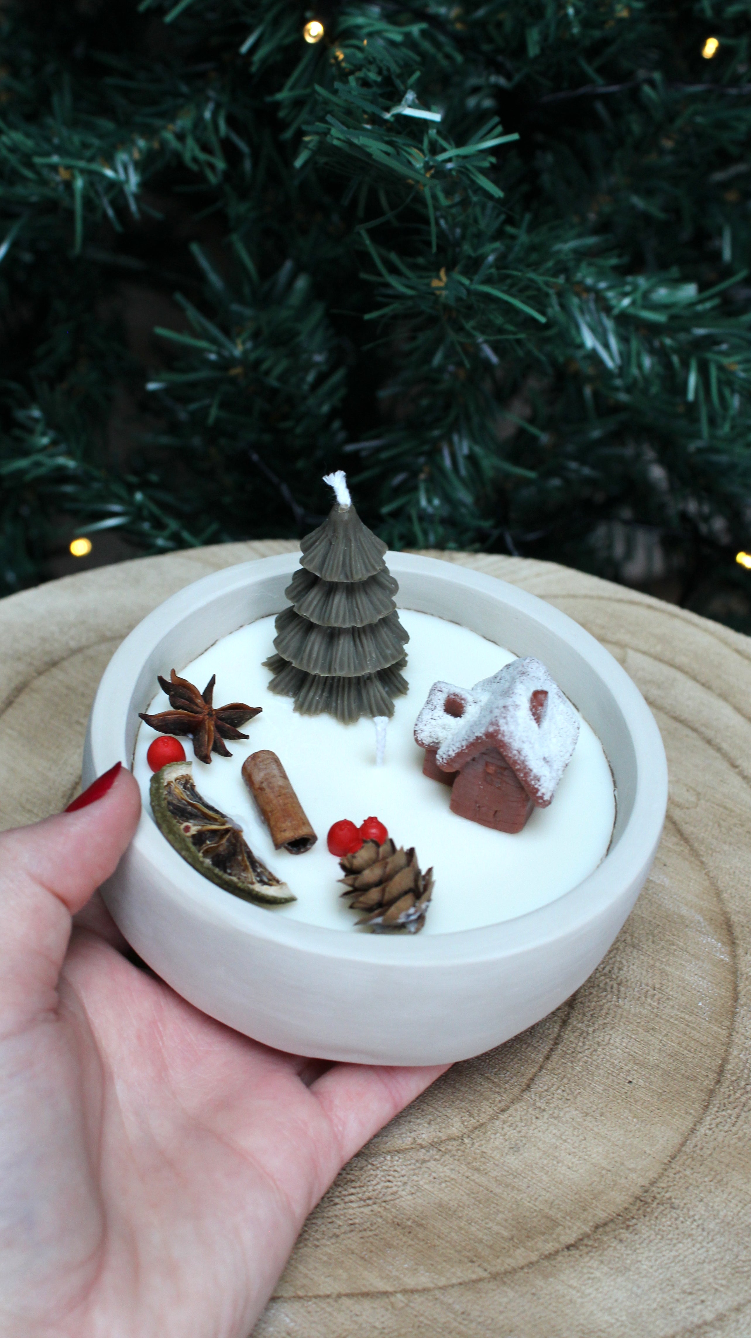 Chalet d'Hiver - Petit modèle 550g