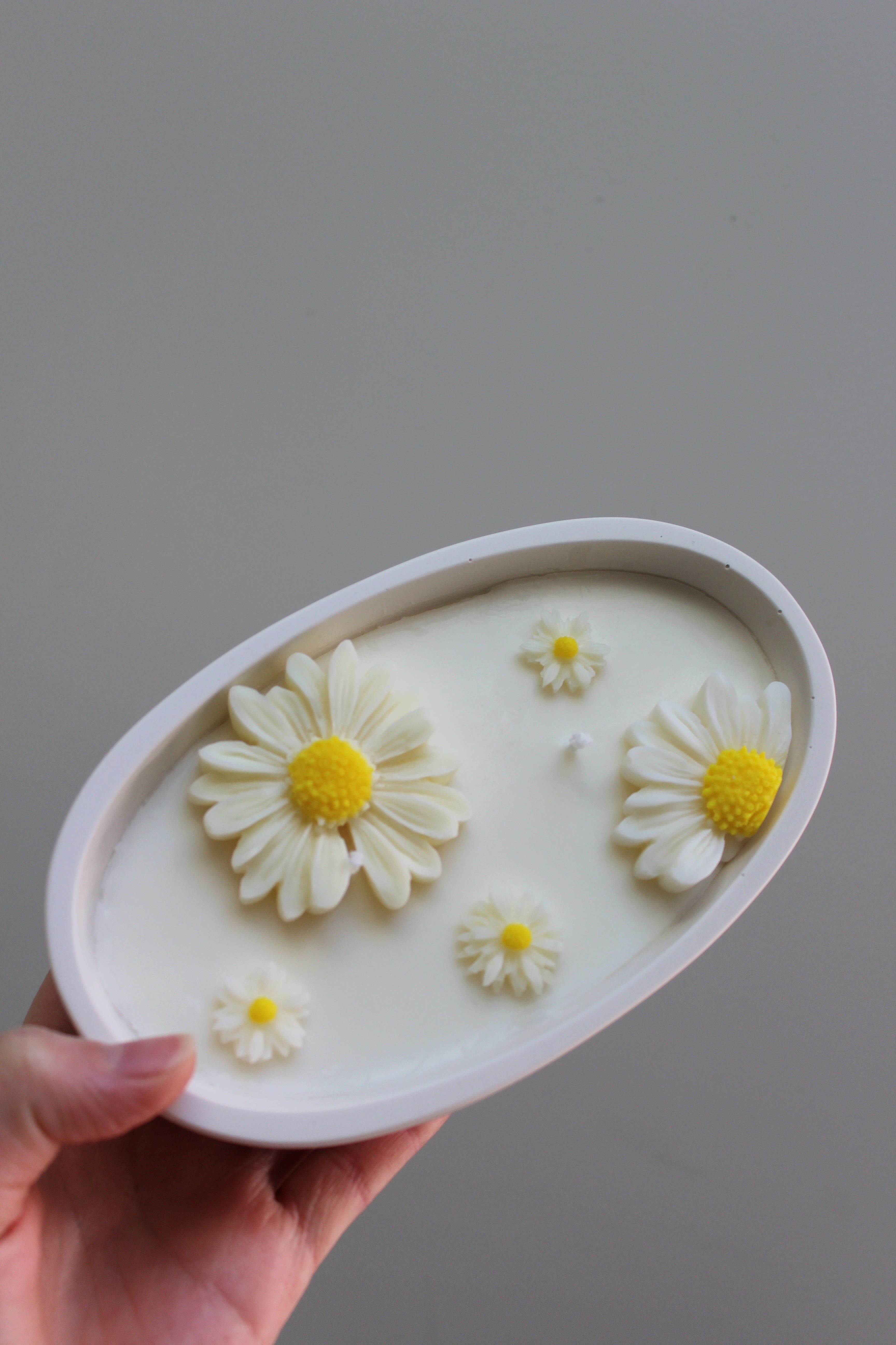 Jardin de marguerites - Moyenne