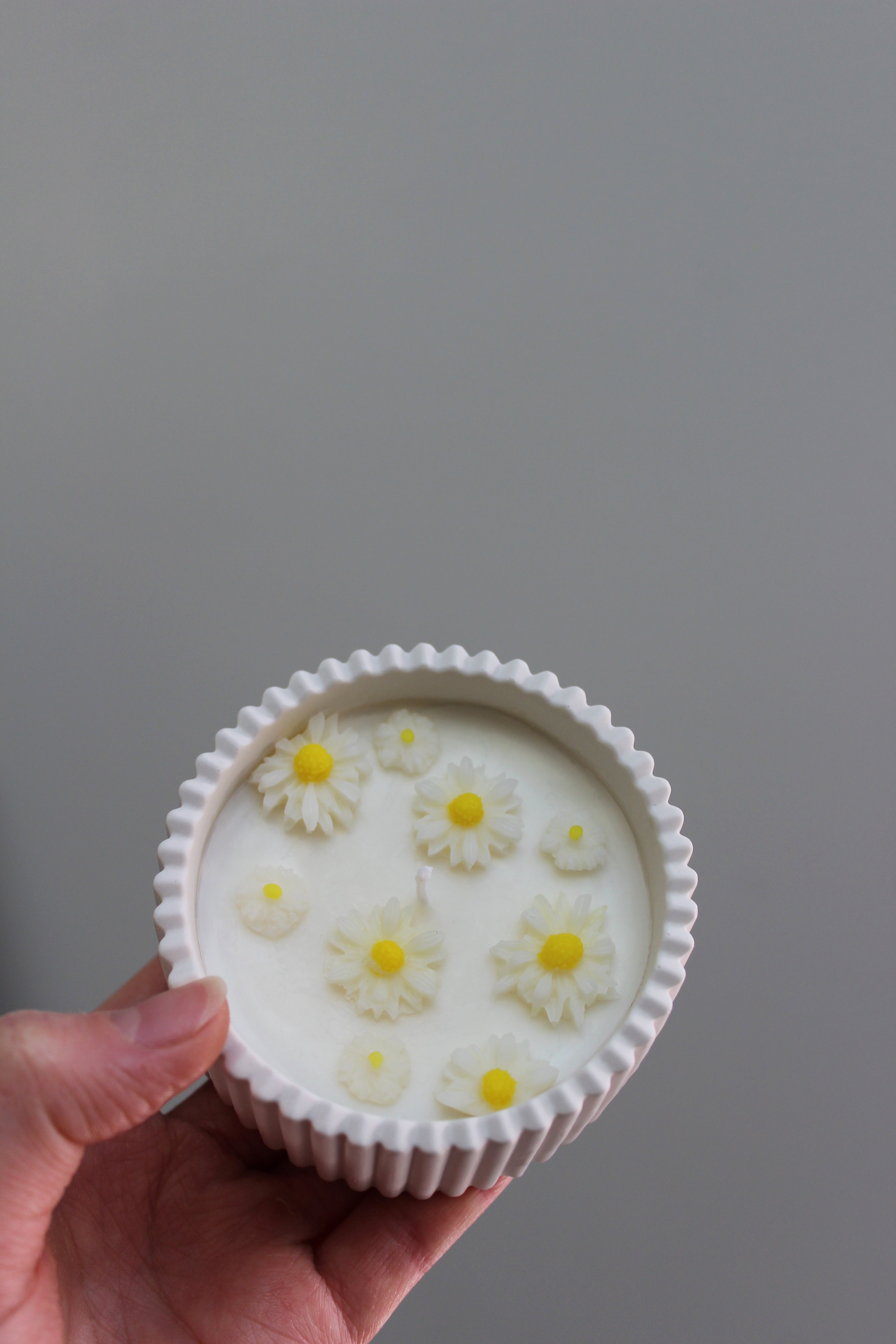 Jardin de marguerites - Petite